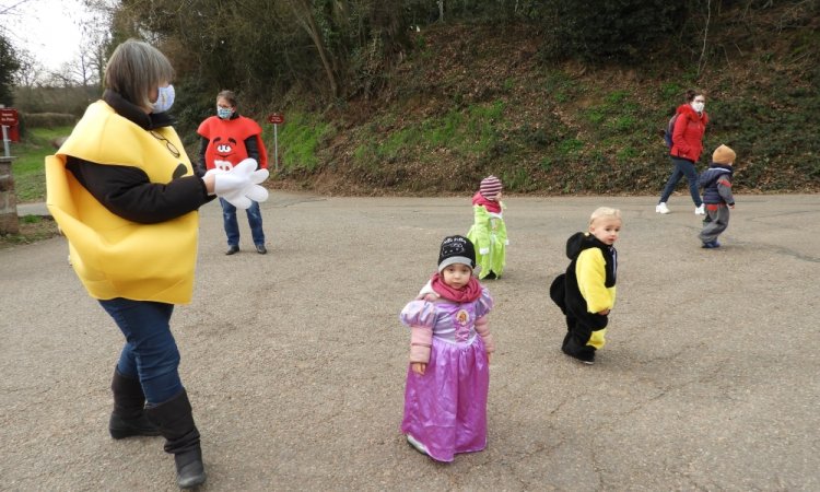 Carnaval Des Bisounours 