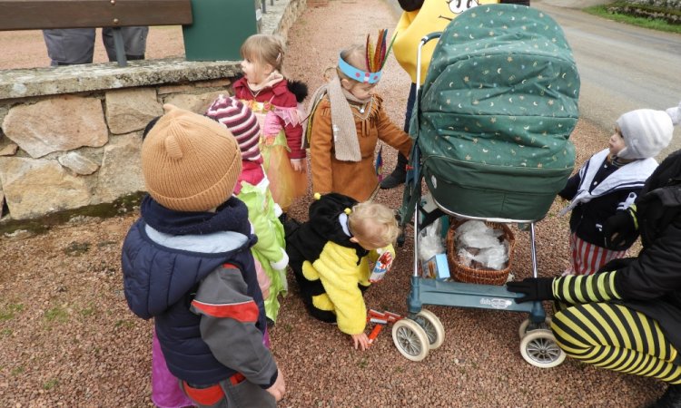 Carnaval Des Bisounours 