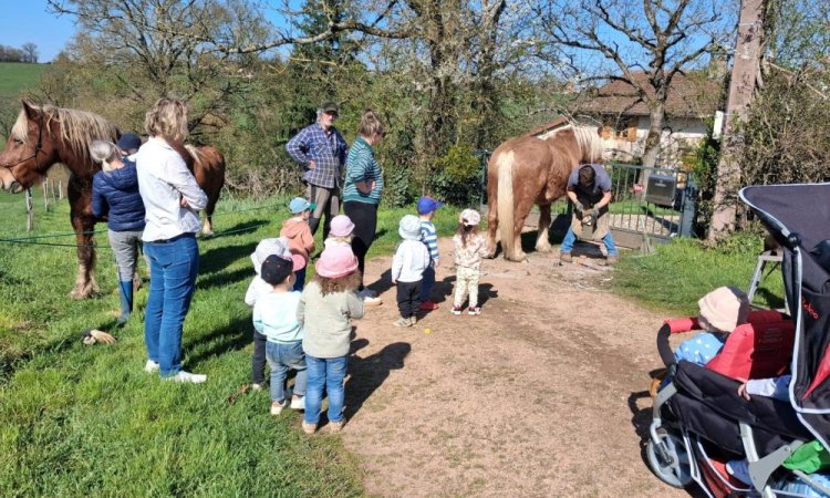 Durant l'une de nos balades, nous avons pu observer le parage d'un cheval. Nous étions tous hypnotisés,, grands et petits.